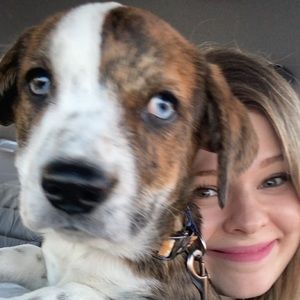 Meet your Posher, Ashlan